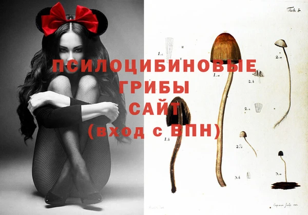 MDMA Premium VHQ Алзамай